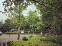 -重庆彩云湖湿地公园