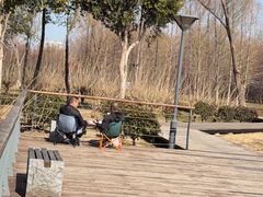 -长广溪湿地公园