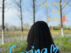 -瑶湖郊野森林公园