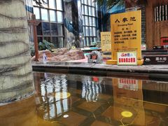 -长白山乐高美温泉度假酒店
