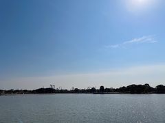 -上海月湖雕塑公园