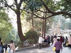 -鸡鸣汤包(红山动物园店)