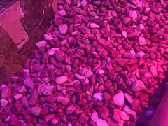 -水晶之星洗浴温泉汗蒸