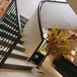 -海茱雅科技健康美容