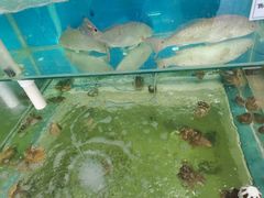 水产区-海之味海鲜大咖·家常菜
