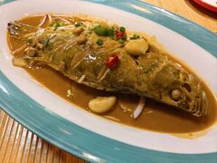 -陈厨(新苑小区店)