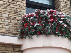 -泡泡玛特POPMART(蓝色港湾店)