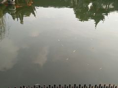 -檀园