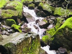 -藏龙百瀑风景区