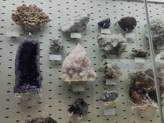 -浙江自然博物院(杭州馆)