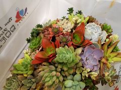 -豆豆花艺(新光天地店)