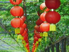-东平国家森林公园