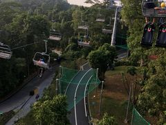 -圣淘沙天际线斜坡滑车