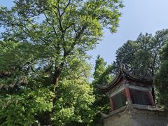-兴教寺