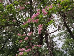 -欢乐牧场海鲜烤肉自助(牡丹园店)