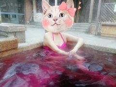 -春晖园度假酒店温泉