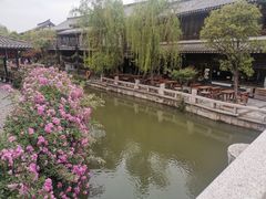 -台儿庄古城