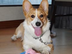 -成都雅诗阁来福士