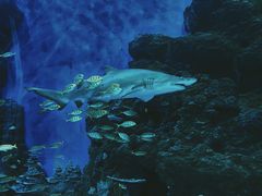 -成都浩海立方海洋公园