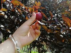 -艾溪湖湿地公园