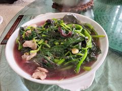 -南记老牌牛骨汤
