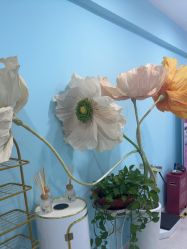 -斐尔国际皮肤管理中心