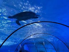 -泉城欧乐堡海洋极地世界