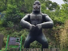 -栾川竹海野生动物园