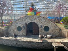 -南宫五洲植物乐园