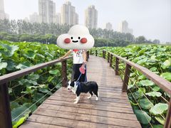 -前关湿地公园