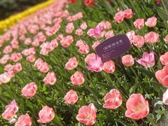 -国家植物园