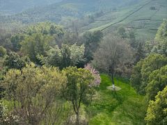 -天目湖御水温泉·度假酒店