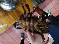 -云南巷海鲜大咖·可加工海鲜