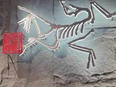 -ARC'TERYX始祖鸟(北京王府中环店)