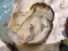 -海食焗(新光天地店)
