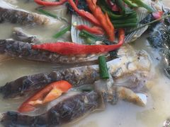 清水鱼-途中饭店(开化店)