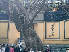 -无锡惠山寺