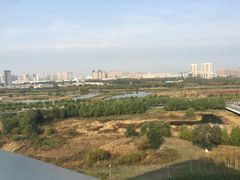 -哈尔滨大剧院