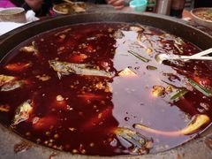 -谭记石锅鱼府(三道堰店)