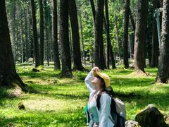 -硗碛藏寨·神木垒景区