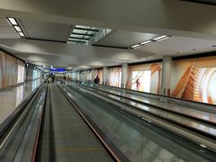 -香港国际机场-T2航站楼