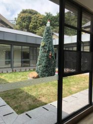 -爱帝宫月子中心(罗湖别墅院)