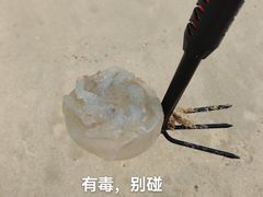 -碧桂园十里银滩