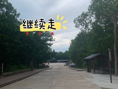 -茅兰沟国家森林公园