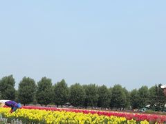 -富田农场