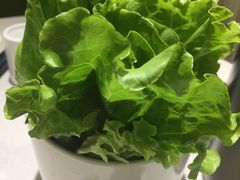 -古乐牛香·鲜牛肉牛杂火锅(新区店)