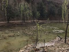 -洛阳马蹄泉旅游度假村