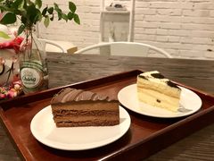 -有猫主题·治愈系猫咖(曾厝垵店)