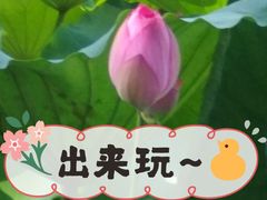 -潘塘公园