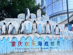 -重庆欢乐海底世界